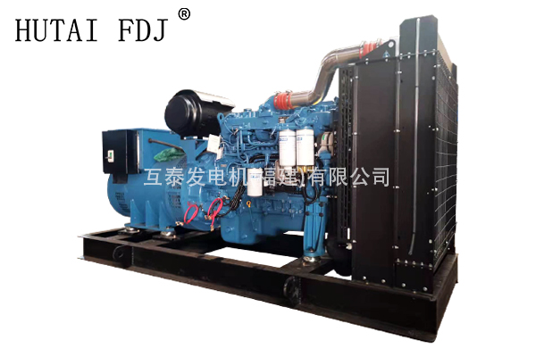 廣（guǎng）西玉（yù）柴動力（lì）300KW柴油發電機組 375KVA The diesel generator team